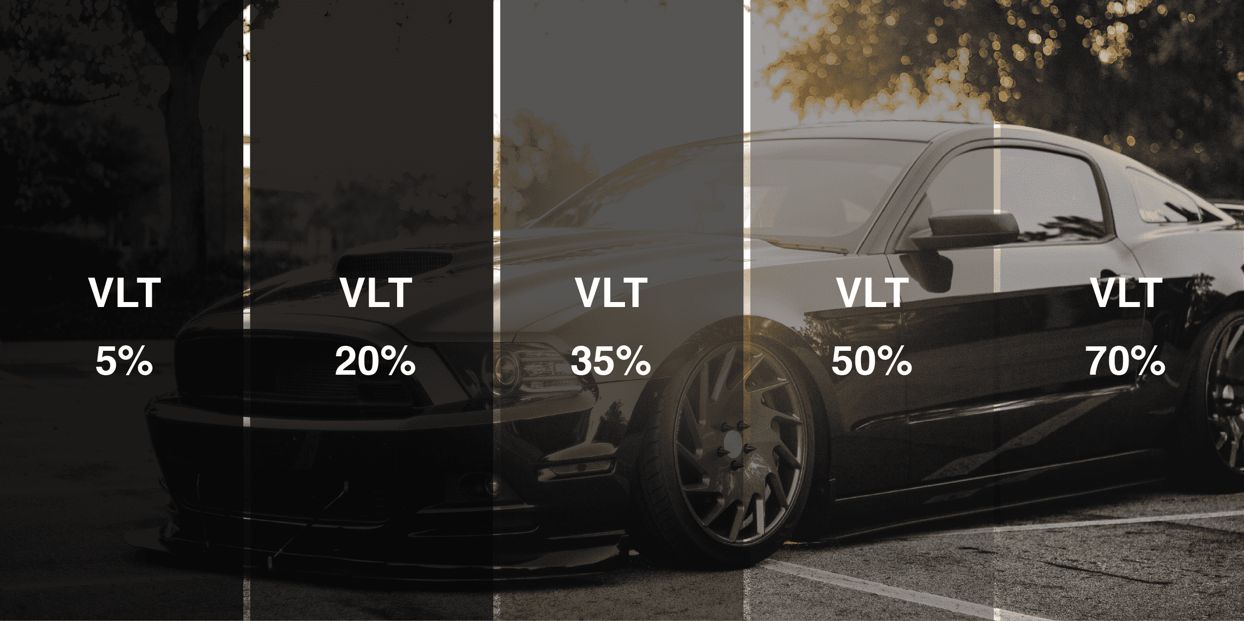 ProtecTINT | Service